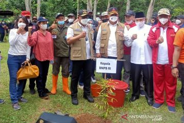 Kepala BNPB - Gubernur Maluku tanam pohon perkuat mitigasi bencana