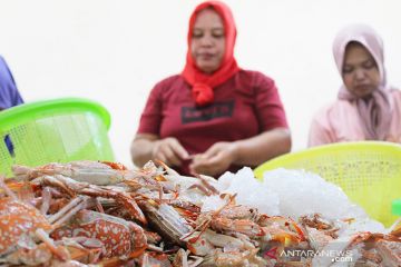 Peran wanita pengupas rajungan Lampung jadi agen konservasi