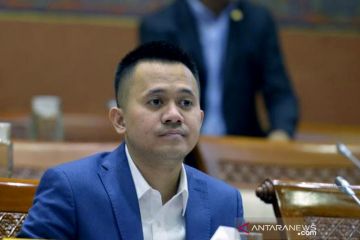 Legislator minta pemerintah beri solusi kewajiban PCR perjalanan udara