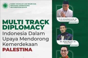 Indonesia pada jalur yang tepat perjuangkan kemerdekaan Palestina