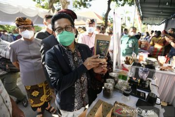 Mendes PDTT dorong BUMDes lakukan diversifikasi usaha