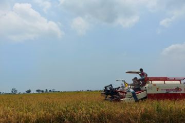 Hari Pangan Sedunia, Mentan minta semua siap hadapi pemanasan global