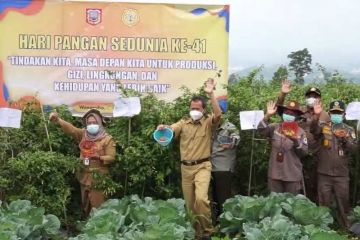 Desa Lamuk di Wonosobo tepat sebagai lahan "food estate"