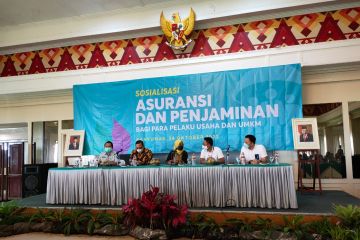 Legislator: Asuransi dan penjamin dorong kebangkitan UMKM dari pandemi