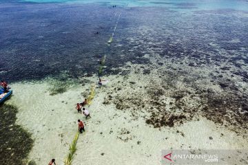 Wer Warat bentuk kearifan lokal nelayan di Maluku