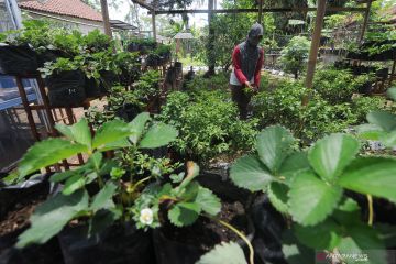 Pakar pertanian Unnes apresiasi langkah Kementan antisipasi La Nina