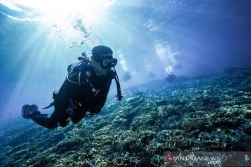 Menparekraf sebut potensi wisata bahari Raja Ampat sangat besar