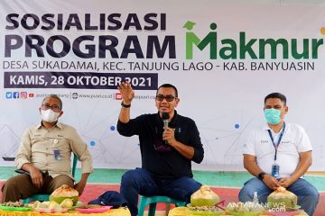 Kementerian BUMN minta pemda dukung program Makmur Pupuk Indonesia
