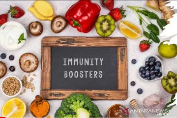 Pakar: Immunity boosters bisa diperoleh dari sayur dan buah segar