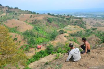 Hutan gundul di pegunungan Patiayam