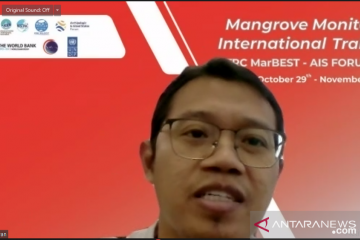 BRIN luncurkan MonMang v2.0 permudah identifikasi mangrove Indonesia