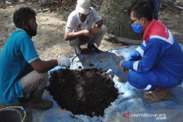 Mencegah karhutla dengan "Pulsa Cacing"