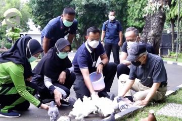 Wapres ajak masyarakat tanam buah di rumah