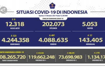 Pasien sembuh COVID-19 bertambah 497 orang