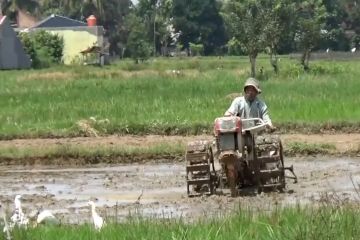 Pemerintah berkomitmen tanggulangi kemiskinan ekstrem