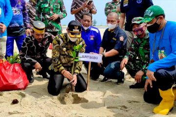 Penanaman mangrove di Bangka warnai HUT ke-76 TNI