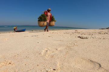 Mata Indonesia: Berdaya dengan rumput laut - Bagian 2