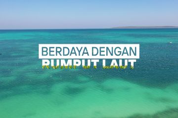 Mata Indonesia: Berdaya dengan rumput laut - Bagian 1