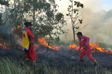 Manggala Agni Sultra padamkan 2 titik di Konawe Selatan