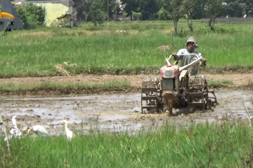 Rp2,6 Miliar untuk bangun sarpras pertanian di Padang