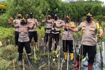 Polres Pekalongan tanam ribuan pohon mangrove