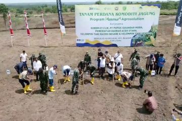 100 hektare lahan kosong Aceh Utara jadi ladang jagung produktif