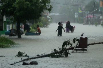 Cegah bencana, TNI minta warga tidak menebang pohon