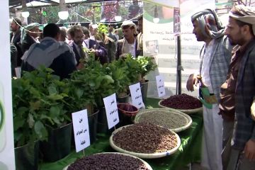 Kota Sanaa gelar pameran untuk bangkitkan prestise kopi Yaman