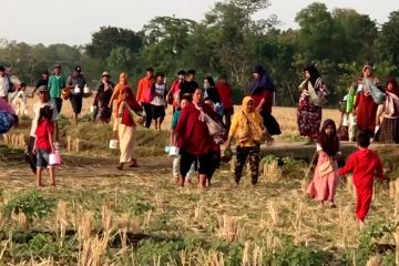 Sedekah bumi, tradisi sebelum tanam warga majalengka