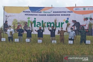 Pupuk Indonesia: Program Makmur naikkan produktivitas petani 44 persen