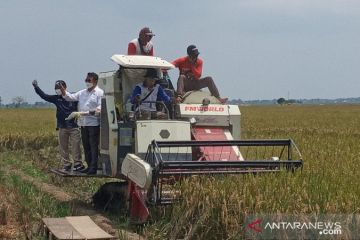 Pupuk Kujang: Program Makmur tingkatkan keuntungan petani 32 persen