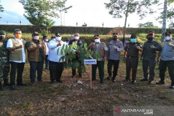 Gubernur Sultra-BNPB tanam 1.000 pohon mitigasi bencana di Kendari