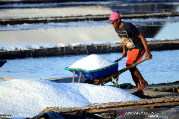 Stok garam lokal Karawang melimpah karena tak laku dijual