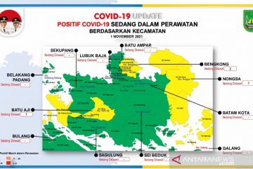 Kasus aktif COVID-19 di Batam tinggal 4 orang