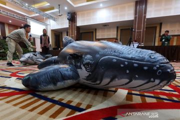 Pelatihan penanganan mamalia laut