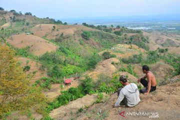 KLHK catat penurunan deforestasi sepanjang 2021-2022