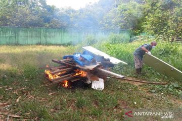 BKSDA Jambi musnahkan harimau sumatera mati akibat manultrisi  kronis