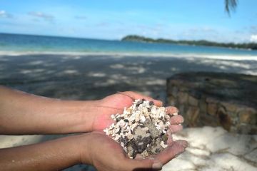 Pantai di Bintan kembali tercemar limbah minyak