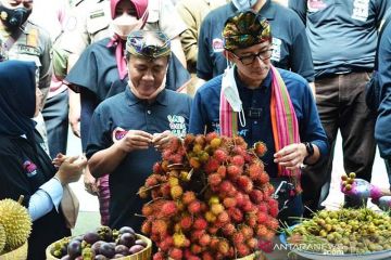 Menparekraf dorong Desa Wisata Sesaot Lombok sasar wisatawan nusantara