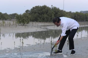 Hoaks! Kondisi Kesehatan Jokowi Melemah