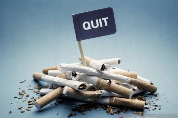 Produk alternatif dinilai bisa turunkan pravalensi perokok