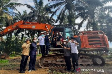 Menteri pertanian dorong akselerasi replanting kebun sawit di Jambi