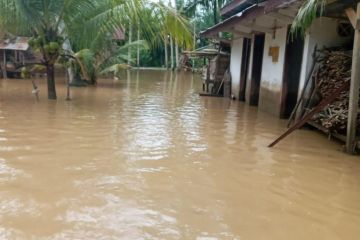 Ribuan warga terdampak banjir di Aceh Selatan