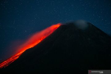 Merapi luncurkan guguran lava pijar tujuh kali sejauh 2 km