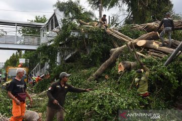 Pohon tumbang menimpa JPO di Jakarta