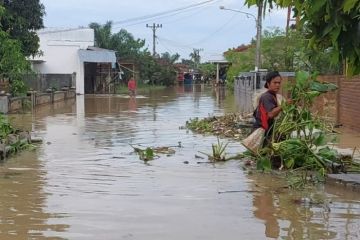 Banjir di Serdang Bedagai Sumut rendam empat kecamatan