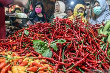 BPS: cabai merah sumbang inflasi 0,22 persen di Bengkulu November 2021