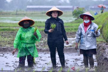 Puan dukung munculnya banyak petani milenial