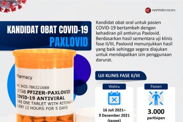 Kandidat obat COVID-19 Paxlovid