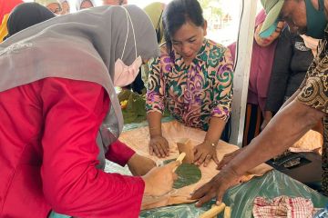 KKP: Pelatihan diversifikasi usaha nelayan demi pengarusutamaan gender